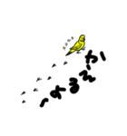 インコのちゅん太郎（個別スタンプ：9）