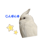 ☆ムーコ☆スタンプ☆（個別スタンプ：3）