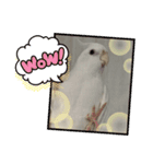 ☆ムーコ☆スタンプ☆（個別スタンプ：10）