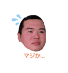 みんな大好きケントールスタンプ 総集編（個別スタンプ：29）