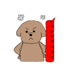 トイプースタンプ 2（個別スタンプ：2）