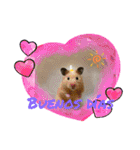 かわいい動物のスペイン語あいさつスタンプ（個別スタンプ：1）