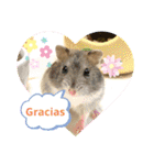 かわいい動物のスペイン語あいさつスタンプ（個別スタンプ：2）