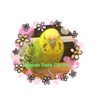 かわいい動物のスペイン語あいさつスタンプ（個別スタンプ：8）