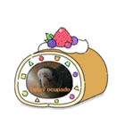 かわいい動物のスペイン語あいさつスタンプ（個別スタンプ：9）