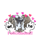 かわいい動物のスペイン語あいさつスタンプ（個別スタンプ：11）