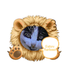 かわいい動物のスペイン語あいさつスタンプ（個別スタンプ：12）