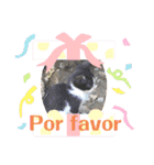 かわいい動物のスペイン語あいさつスタンプ（個別スタンプ：17）