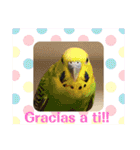 かわいい動物のスペイン語あいさつスタンプ（個別スタンプ：18）