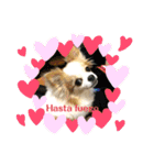 かわいい動物のスペイン語あいさつスタンプ（個別スタンプ：20）