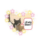 かわいい動物のスペイン語あいさつスタンプ（個別スタンプ：21）