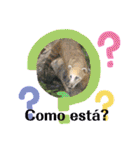 かわいい動物のスペイン語あいさつスタンプ（個別スタンプ：22）
