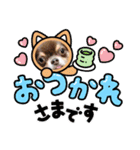 ちわわの画像（個別スタンプ：19）