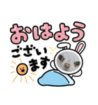 ちわわの画像（個別スタンプ：20）