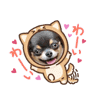 ちわわの画像（個別スタンプ：23）