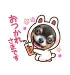ちわわの画像（個別スタンプ：24）