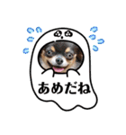 ちわわの画像（個別スタンプ：32）
