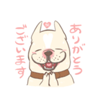 フレンチブルドッグと保護猫兄弟（個別スタンプ：7）