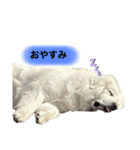 yuruyuruoutianimal（個別スタンプ：3）