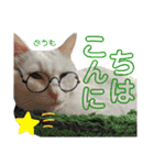 しろくろshirokuro（個別スタンプ：5）