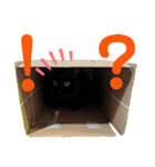 しろくろshirokuro（個別スタンプ：17）