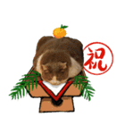 ラブとハク（個別スタンプ：4）