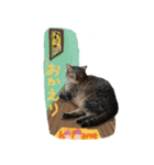 ラブとハク（個別スタンプ：6）