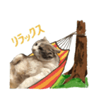 ラブとハク（個別スタンプ：8）