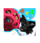 Tee time dogのスタンプ①（個別スタンプ：7）
