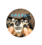 マルスくんの敬語スタンプ（個別スタンプ：3）