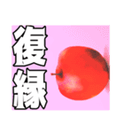 どっかのリンゴ(修正版)（個別スタンプ：11）