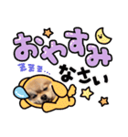 ポンタのスタンプ集 1（個別スタンプ：9）