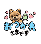 ポンタのスタンプ集 1（個別スタンプ：15）