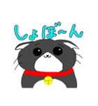 毎日使えるでっかい猫スタンプ（個別スタンプ：13）