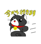 毎日使えるでっかい猫スタンプ（個別スタンプ：17）