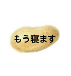 野菜と大人のお仕事言葉1（個別スタンプ：11）