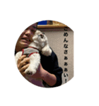 フーテンの福太郎（個別スタンプ：5）