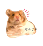 ハムみーちゃんスタンプ2（個別スタンプ：1）