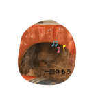 ハムみーちゃんスタンプ2（個別スタンプ：6）