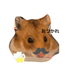 ハムみーちゃんスタンプ2（個別スタンプ：10）