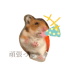 ハムみーちゃんスタンプ2（個別スタンプ：16）