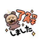ポメラニアンぽめ（個別スタンプ：1）