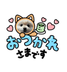 ポメラニアンぽめ（個別スタンプ：3）
