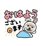 ポメラニアンぽめ（個別スタンプ：4）