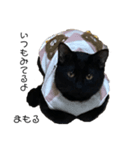 くろねこまもりん2（個別スタンプ：1）