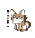 イッヌで日常会話（個別スタンプ：1）