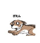 イッヌで日常会話（個別スタンプ：2）