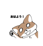 イッヌで日常会話（個別スタンプ：4）