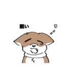 イッヌで日常会話（個別スタンプ：5）