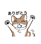 イッヌで日常会話（個別スタンプ：7）